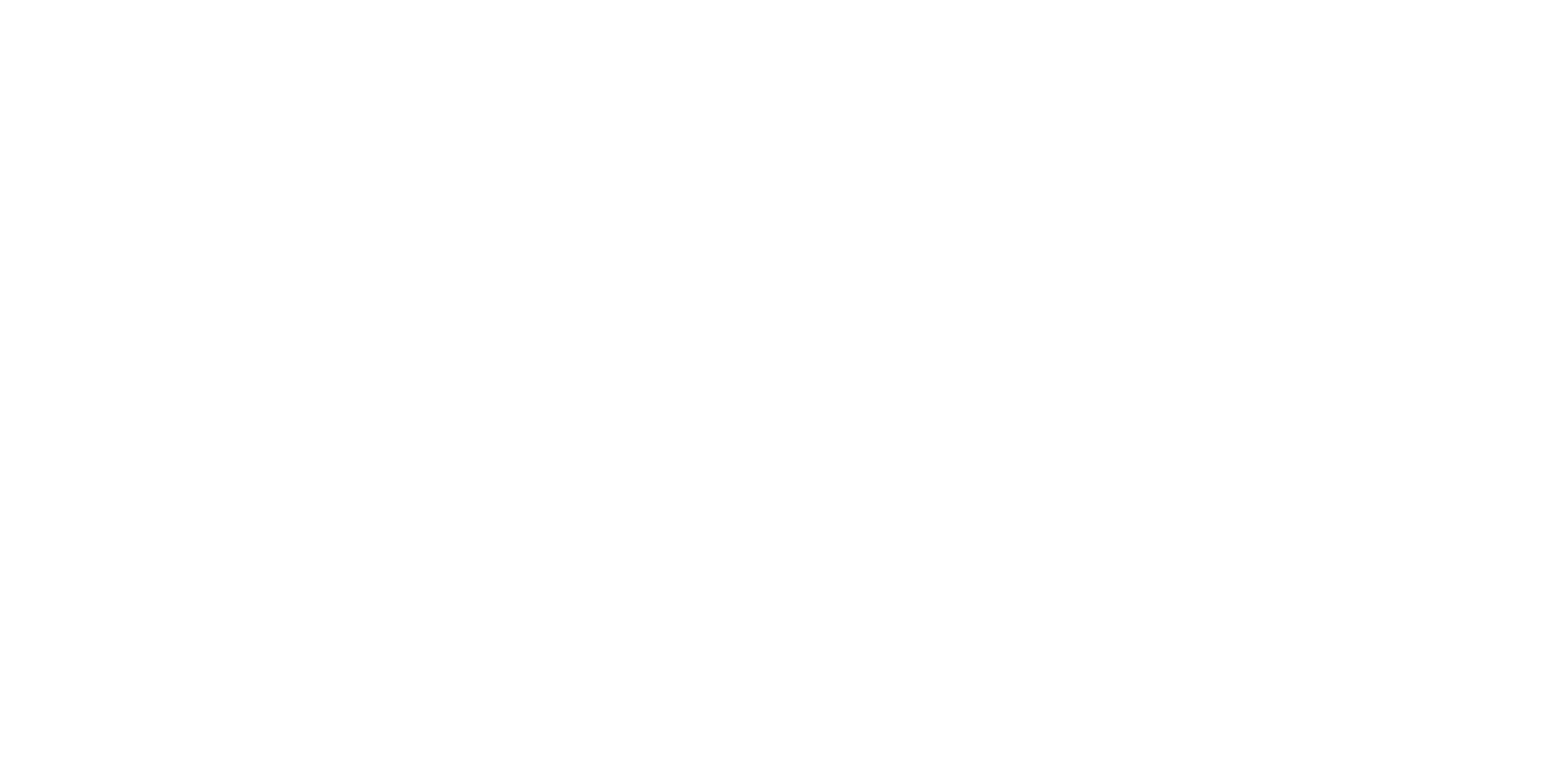Premier House Cleaning